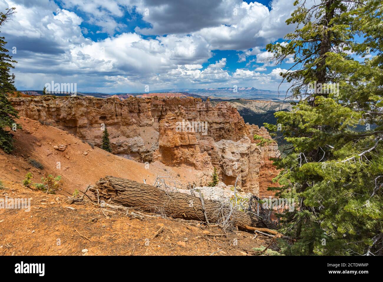 Black Birch Canyon Overlook im Bryce Canyon National Park, Utah Stockfoto