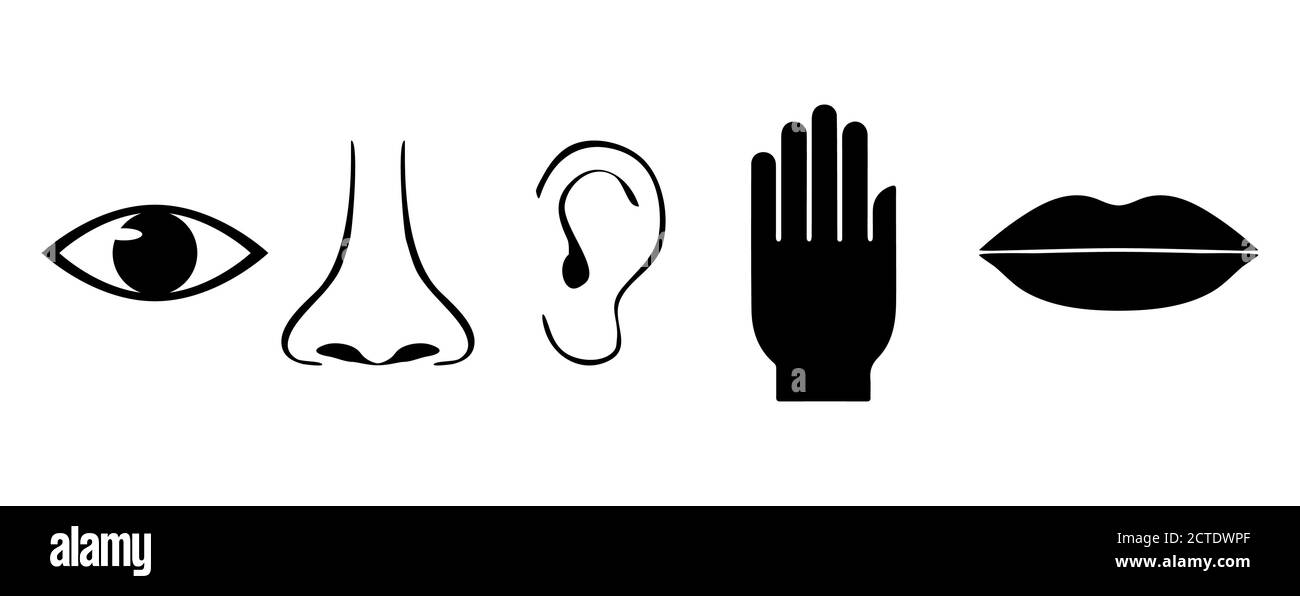 Icon Set mit fünf menschlichen Sinnen. Vision, Geruch, Hören, Berührung, Geschmack oder Illustration Symbol für Auge, Nase, Ohr, Hand, Mund, einfache flache Vektor-illustrat Stock Vektor