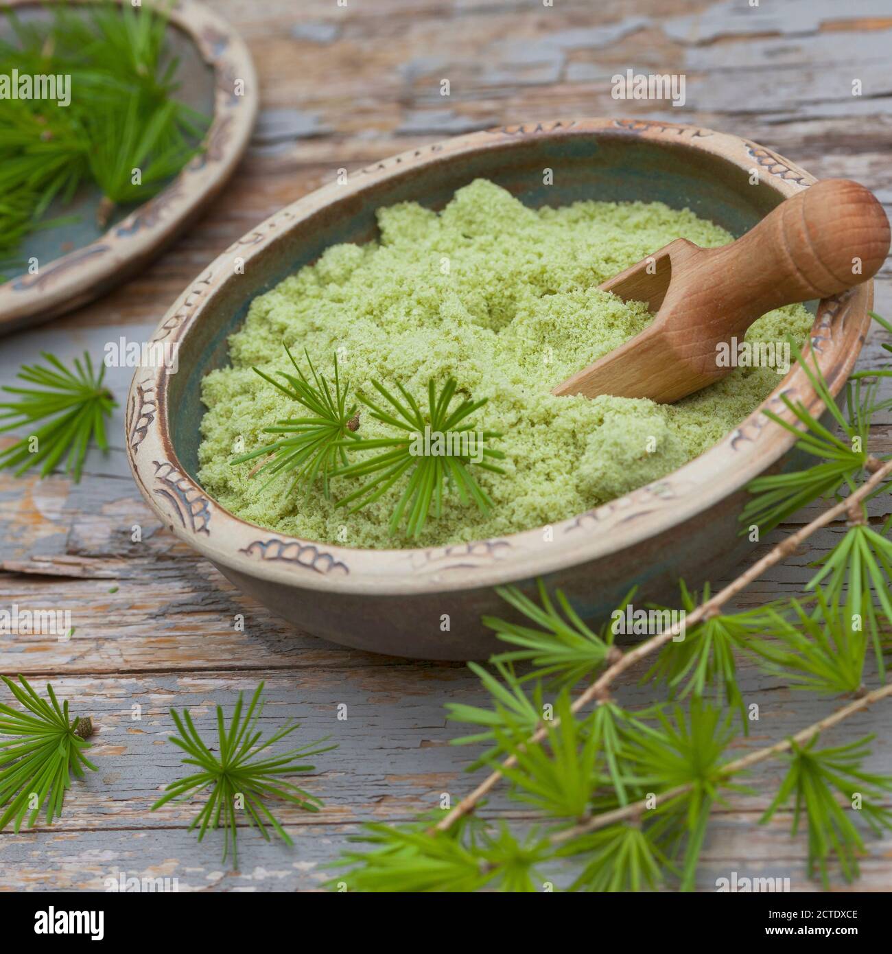 Gemeine Lärche, Europäische Lärche (Larix decidua, Larix europaea), Kräutersalz aus Lärchennadeln, Deutschland Stockfoto