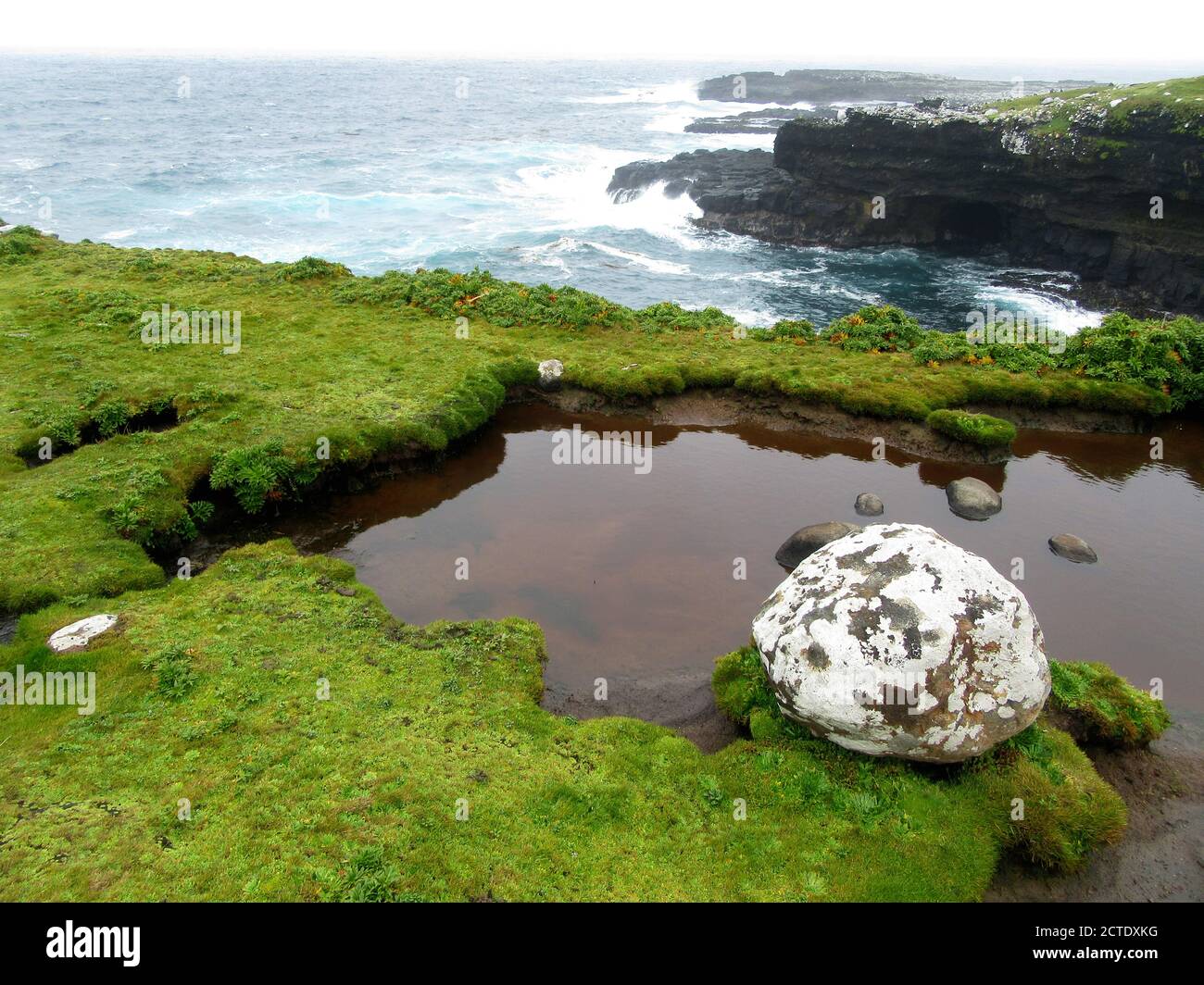 Süßwasserpools auf Enderby Island, Neuseeland, Auckland Islands, Enderby Island Stockfoto