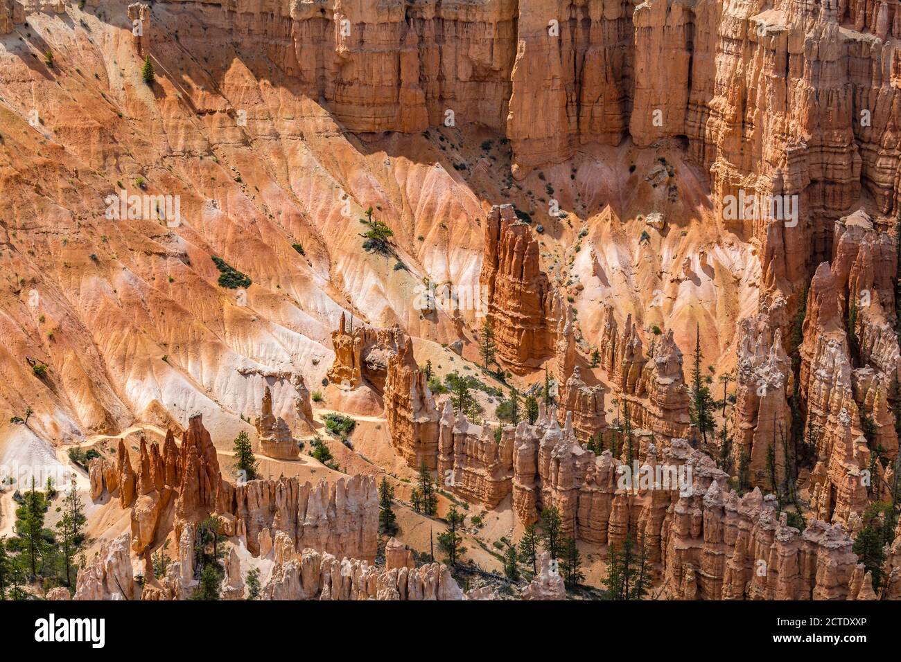 Brice Point Overlook im Bryce Canyon National Park, Utah Stockfoto