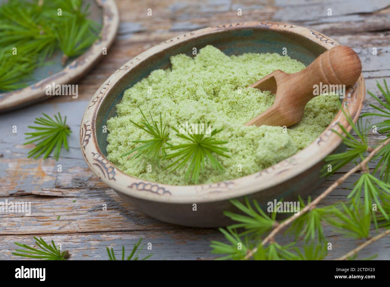 Gemeine Lärche, Europäische Lärche (Larix decidua, Larix europaea), Kräutersalz aus Lärchennadeln, Deutschland Stockfoto