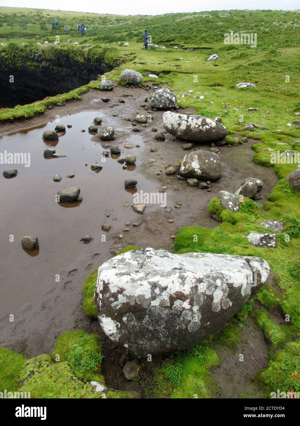 Süßwasserpools auf Enderby Island, Neuseeland, Auckland Islands, Enderby Island Stockfoto