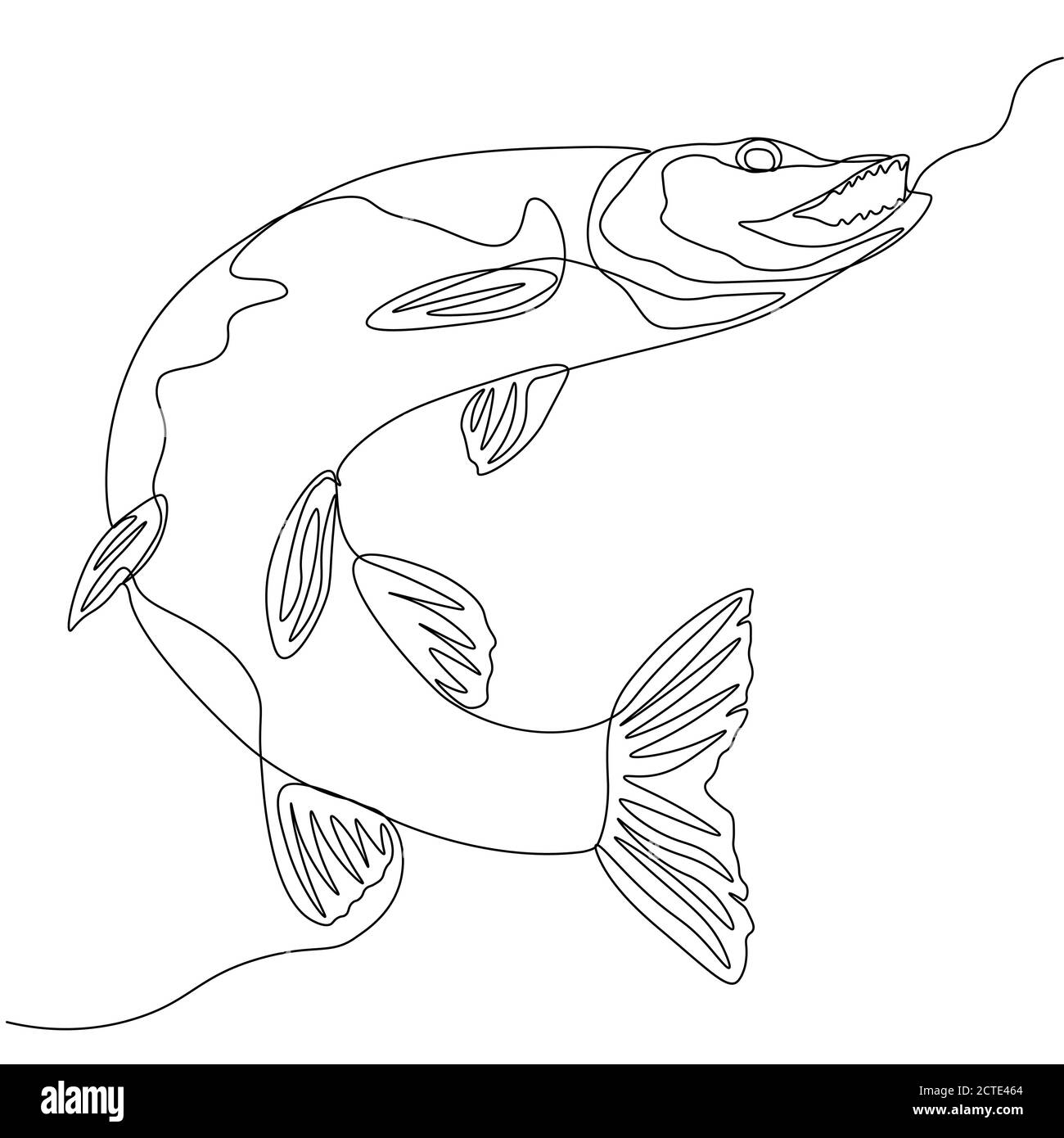 Hecht. Eine Linie Fisch-Design Silhouette. Logo-Design. Handgezeichnete Vektorgrafik im Minimalismus-Stil... Stock Vektor
