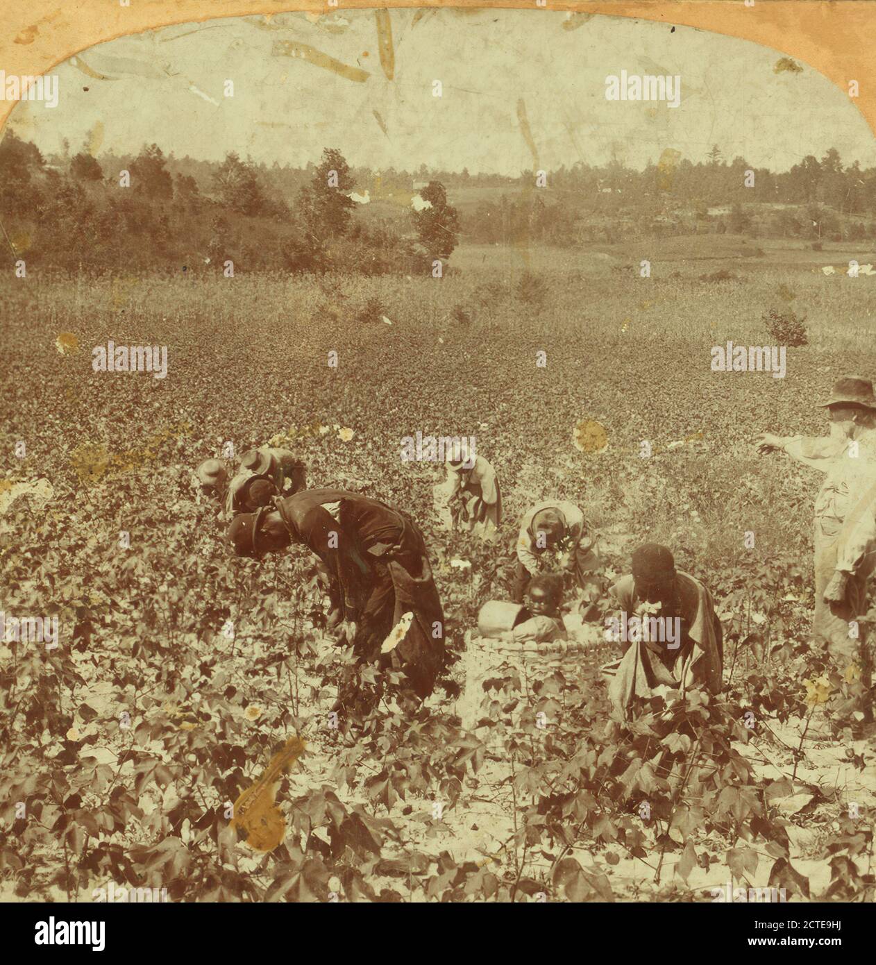 Kommissionierung Baumwolle., 1868, usa, amerika, amerika Ahnenarchiv Foto, USA faszinierende und seltene historische Bild. Stockfoto
