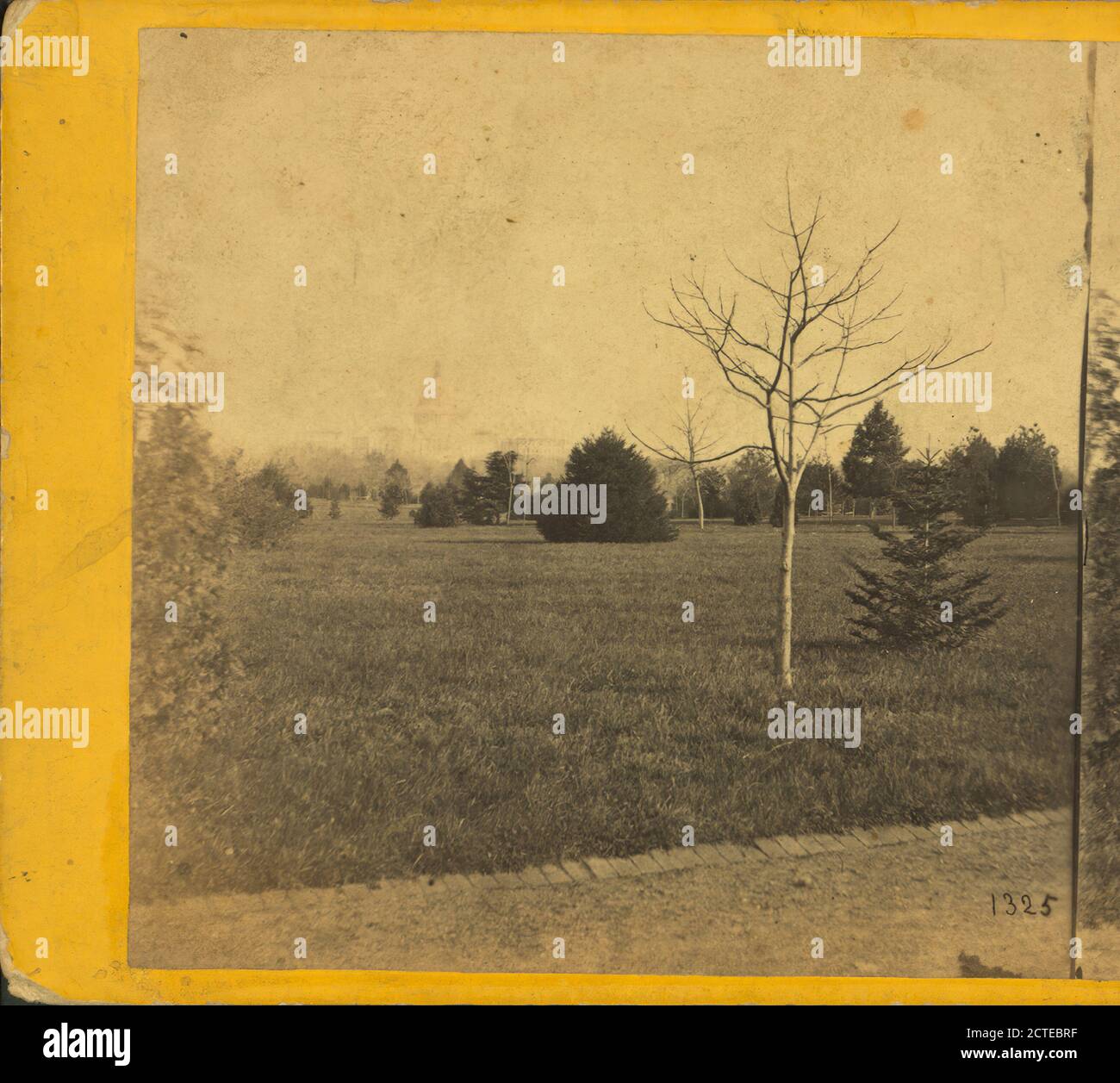 Smithsonian Institute. Capitol in der Ferne., E. & H.T. Anthony (Firm), 1860, Washington (D.C.) Stockfoto