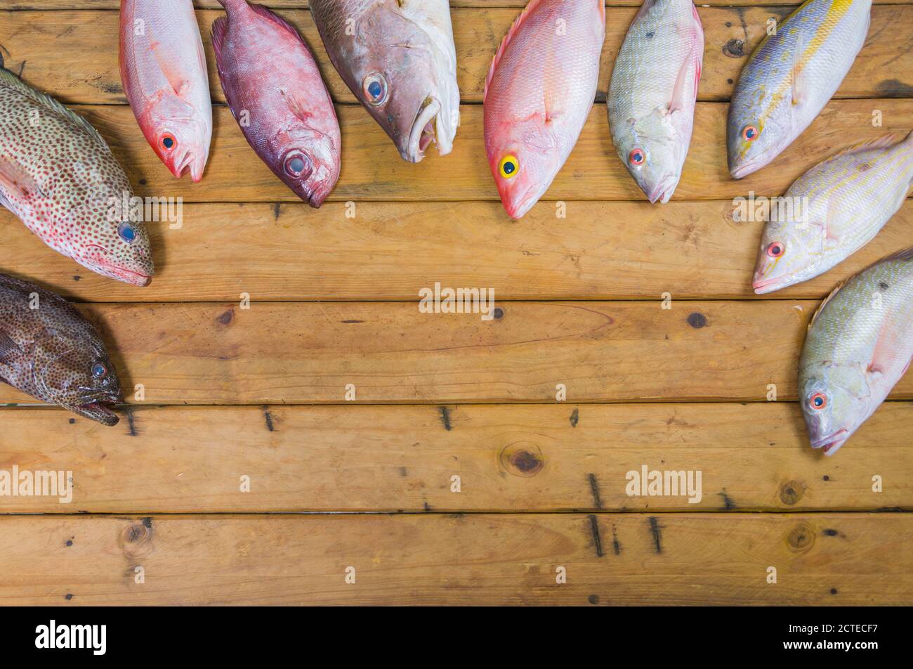 Karibischer frischer Fisch Meeresfrüchte auf altem Holztisch. Draufsicht. Nahaufnahme. Stockfoto