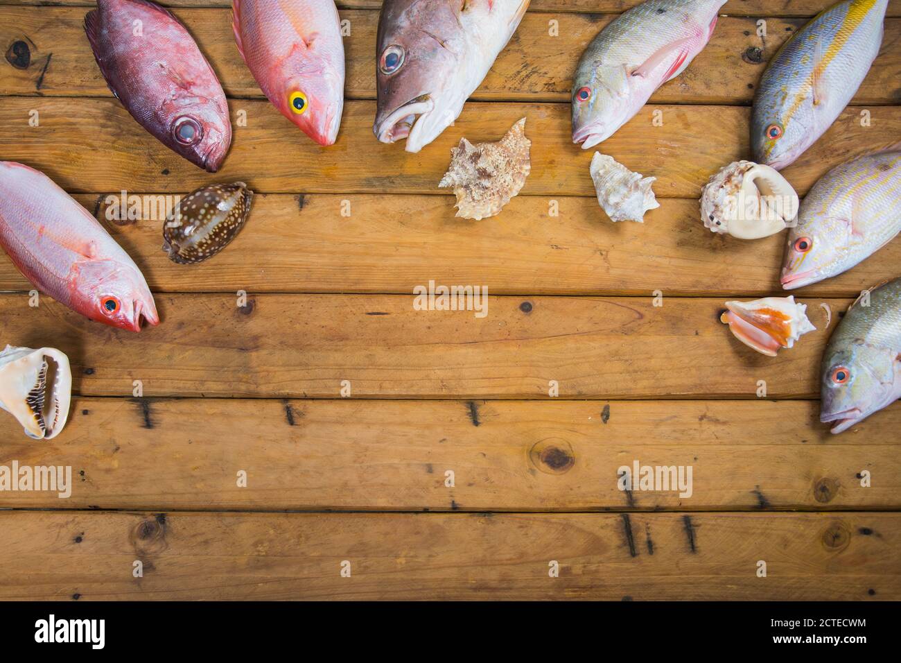 Karibischer frischer Fisch Meeresfrüchte auf altem Holztisch. Draufsicht. Nahaufnahme. Stockfoto