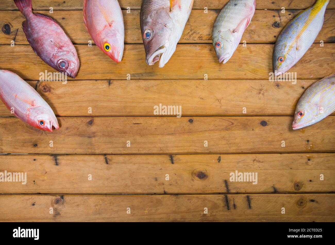 Karibischer frischer Fisch Meeresfrüchte auf altem Holztisch. Draufsicht. Nahaufnahme. Stockfoto