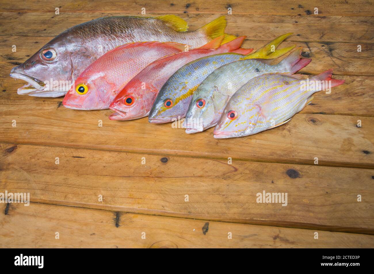 Karibischer frischer Fisch Meeresfrüchte auf altem Holztisch. Draufsicht. Nahaufnahme. Stockfoto