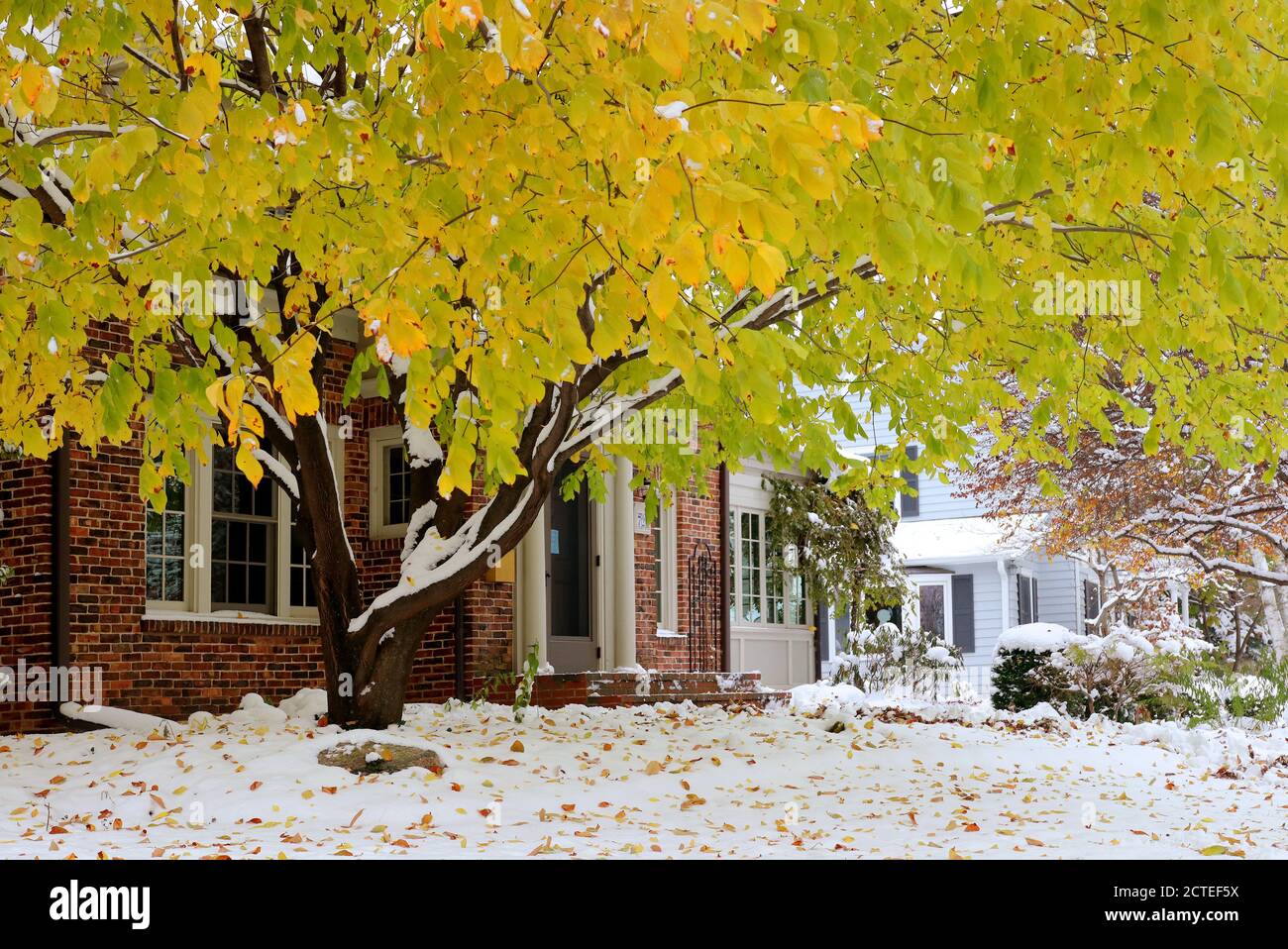 Frühe Schneehintergrund, Konzept des Klimawandels. Landschaftlich reizvolle Morgenlandschaft mit herbstlich hellen Bäumen und von frischem Erstschnee bedeckten Straßen. Stockfoto