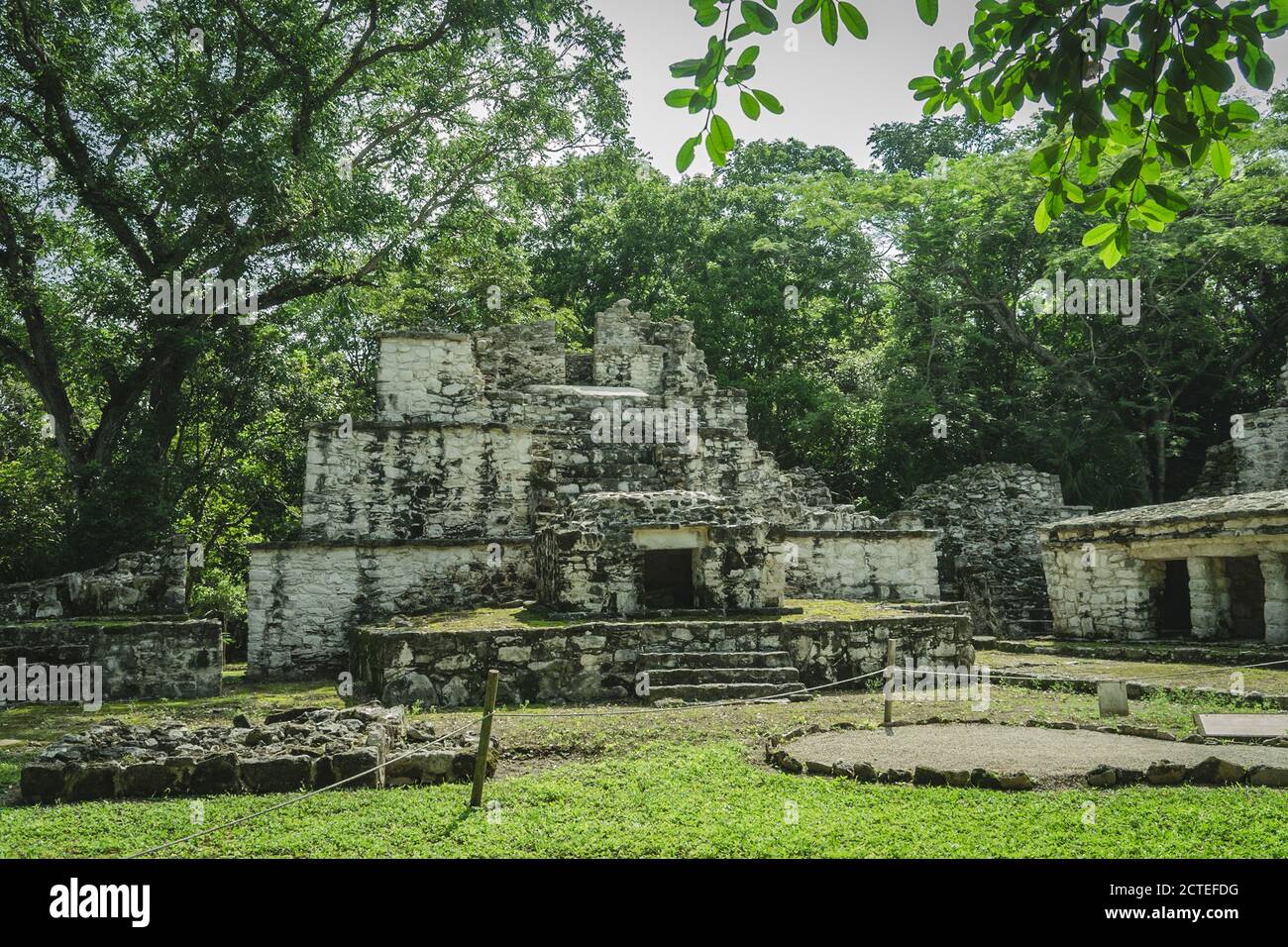 Maya-Ruine „Muyil“, Quintana Roo, Mexiko Stockfoto