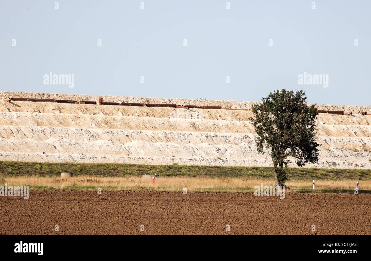 17. September 2020, Sachsen-Anhalt, Latdorf: Ein Baum steht auf einer Landstraße vor dem Staudamm eines Lindenteiches. Bei einem Erdrutsch im Jahr 2012 wurde die Straße überflutet, dann geschlossen, eine Umgehungsstraße gebaut und das Brachland genutzt, um einen weiteren Kalkteich zu schaffen. Die mehrere Hektar großen Siedelteiche werden zur Aufbereitung von Produktionsabwässern aus der Sodaproduktion genutzt. Dabei setzen sich Kalk und Rückstände ab, das gereinigte Wasser fließt in die Saale. Die Sedimente bewirken, dass die Hügel stetig wachsen. Die Solvay GmbH produziert Soda, Natriumhydrogencarbonat, hochreines Wasserstoffperoxid und Hi Stockfoto