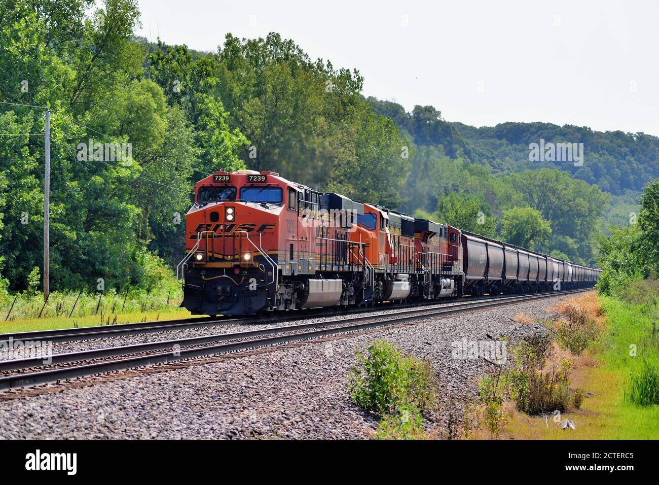 Savanna, Illinois, USA. Ein westwärts Burlington Northern Santa Fe Grain Zug fährt nördlich parallel zum Mississippi River. Stockfoto