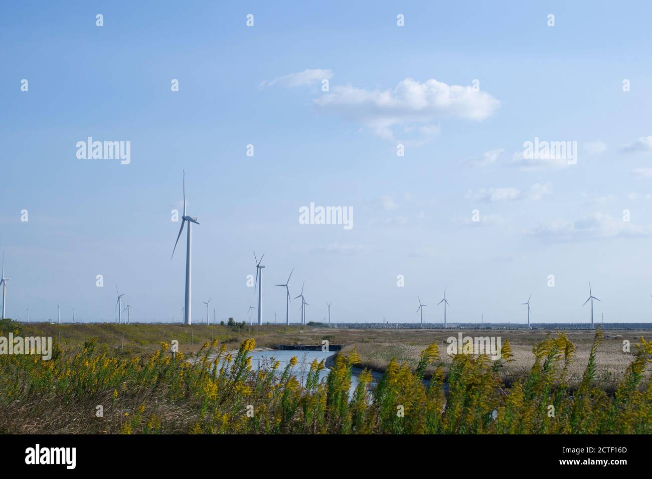 Windkraft-Erzeugung im Wildfeld Stockfoto