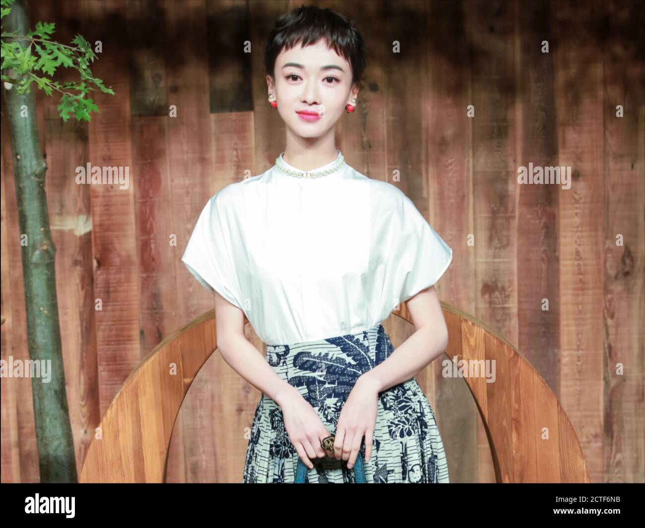 --Datei--Chinesische Schauspielerin Wu Jinyan bei einer Pressemitteilung von Dior, Shanghai, China, 19. Oktober 2019. Stockfoto