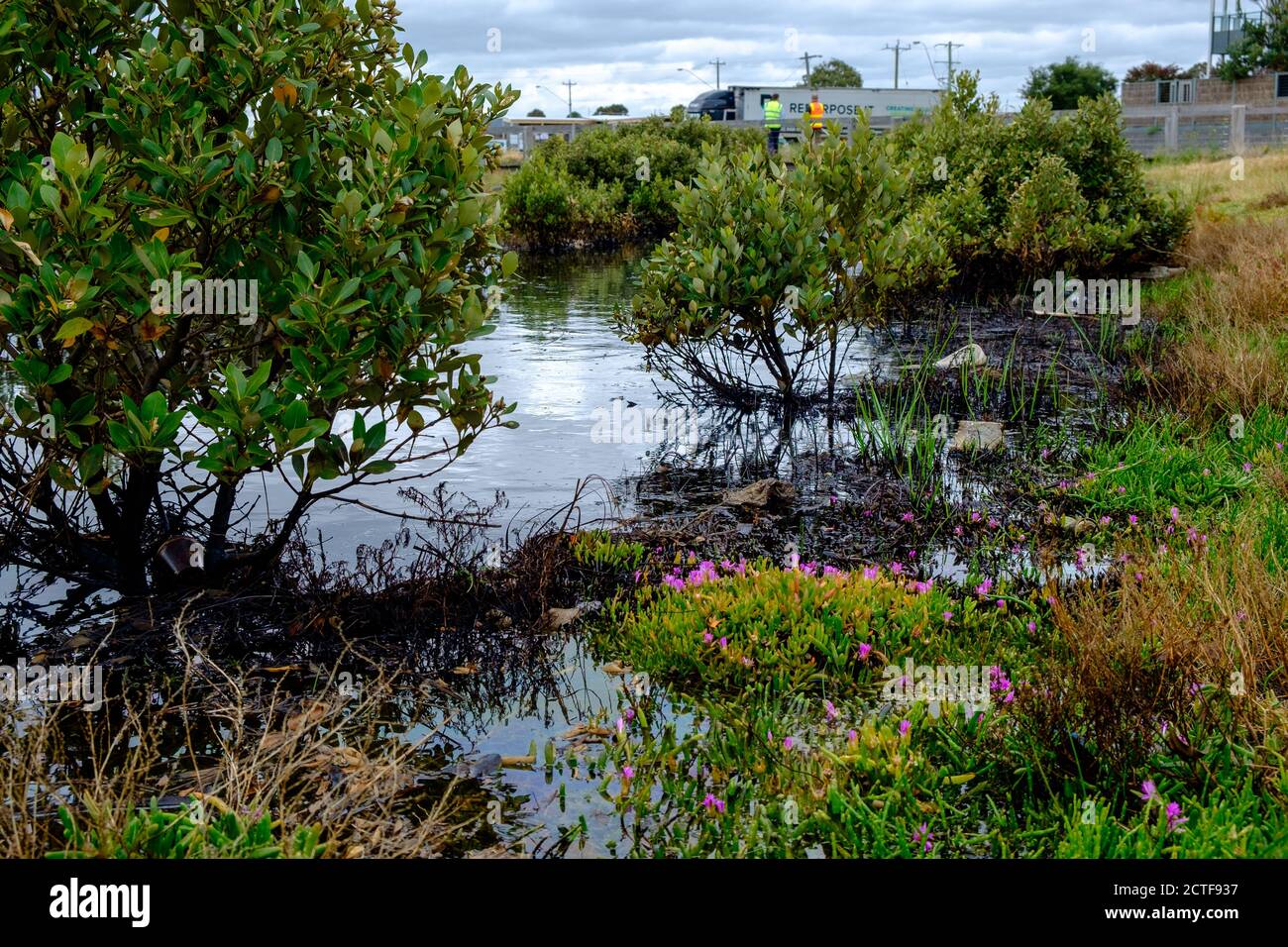 Verschmutzung im Paisley-Challis Wetland, Williamstown North, Melbourne, Victoria, Australien Stockfoto