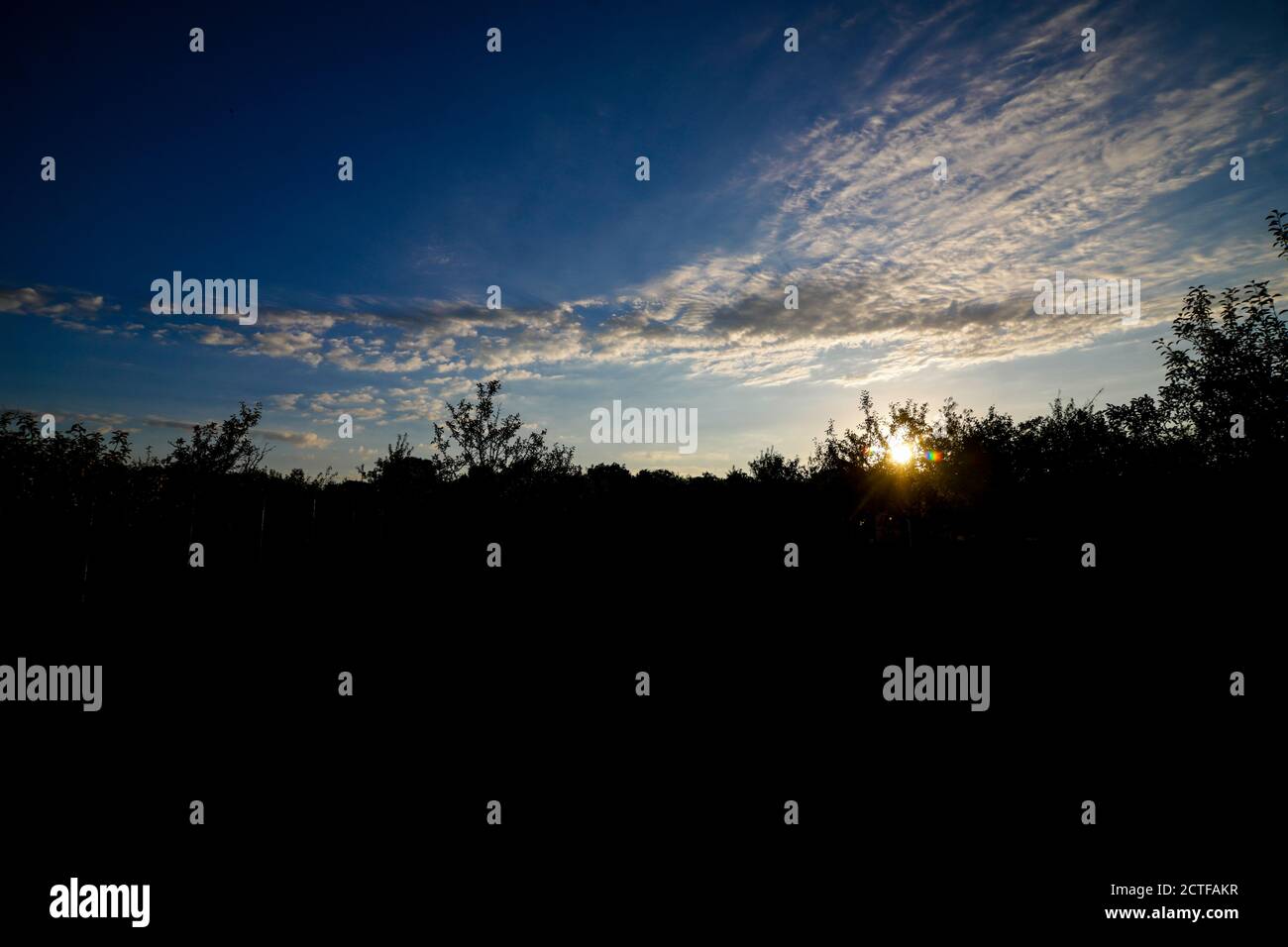 Sonne geht über Bäumen auf dem Land mit launischen Himmel Und Wolken Stockfoto