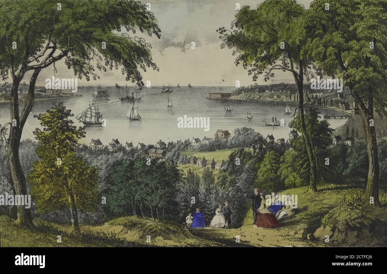 The Narrows, New York Bay. Von Staten Island, Standbild, Druckgrafiken, 1801 - 1900 Stockfoto