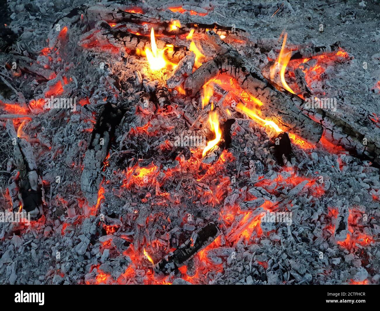 Glühende Glut des brennenden Holzes Holzfeuer Stockfoto