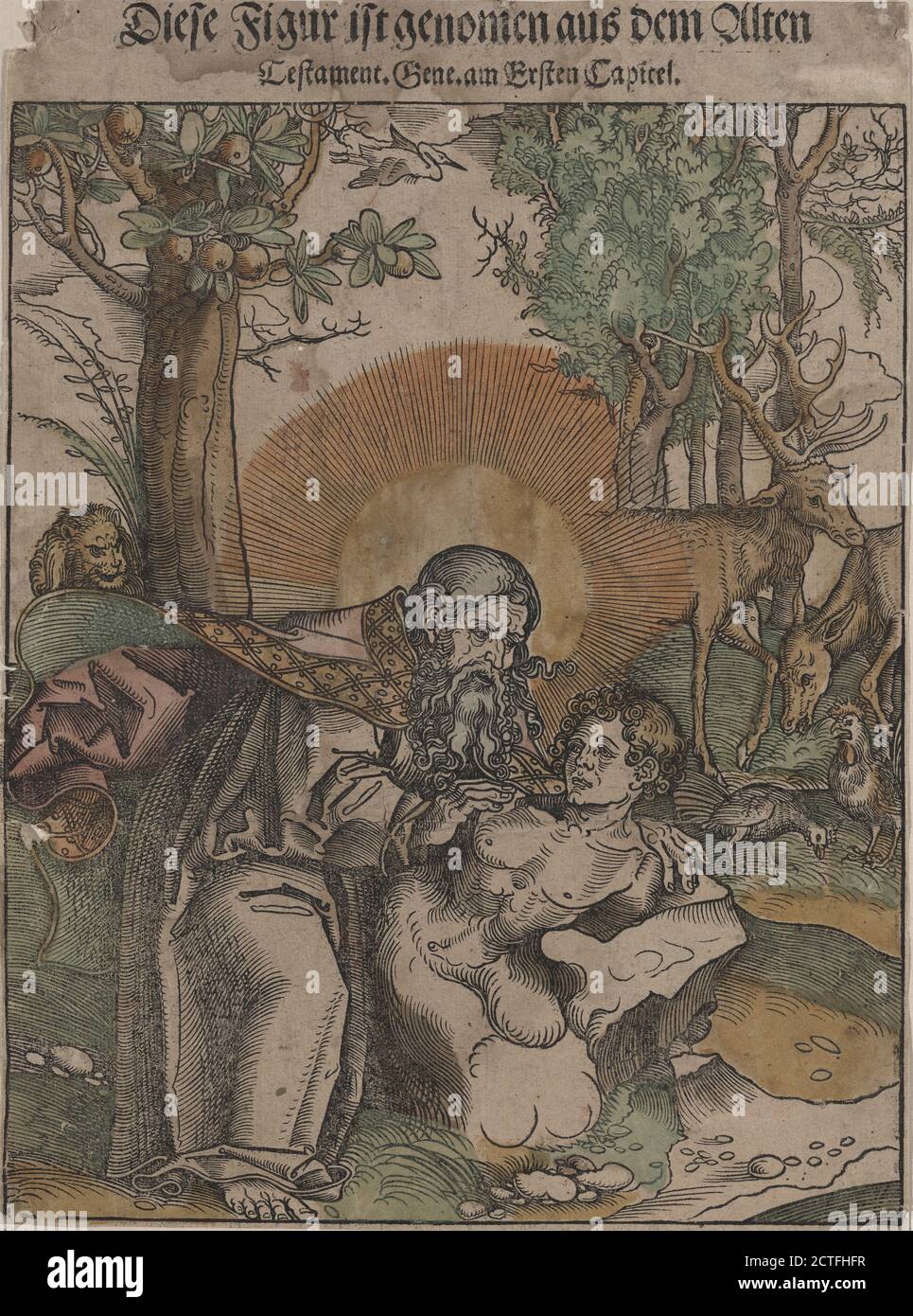 Erschaffung von Adam, Standbild, Drucke, 1501 - 1600, Anonymous Stockfoto