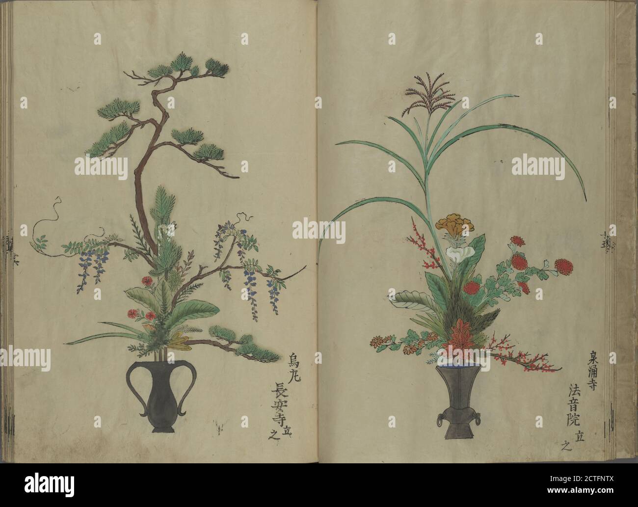 Blumenarrangements von Takada Anryûbô Shûgyoku. 高田安立坊周玉, Text, Illustrationen, 1673 Stockfoto