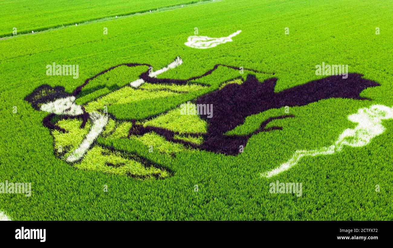 Luftaufnahme eines Reisschaufelkunstwerkes mit "Dong Yong" und "Fairy", zwei Hauptfiguren in einem Märchen in Dongtai City, Ost-Chinas Jiangsu PR Stockfoto