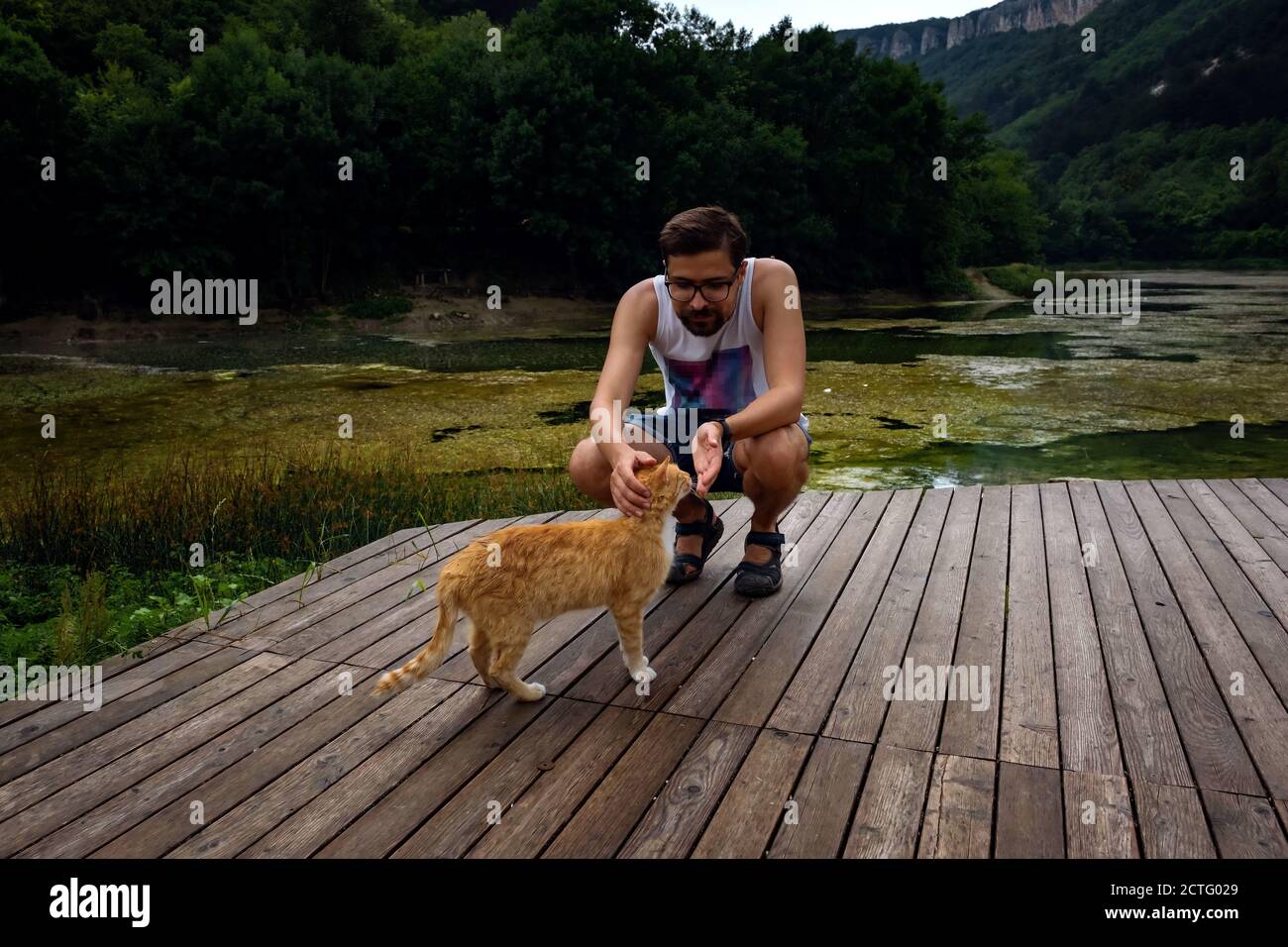 Ein Mann spielt mit einer heimische rot gestromte Katze. Die Katze reibt sich am mans Bein. Nach dem Regen Stockfoto