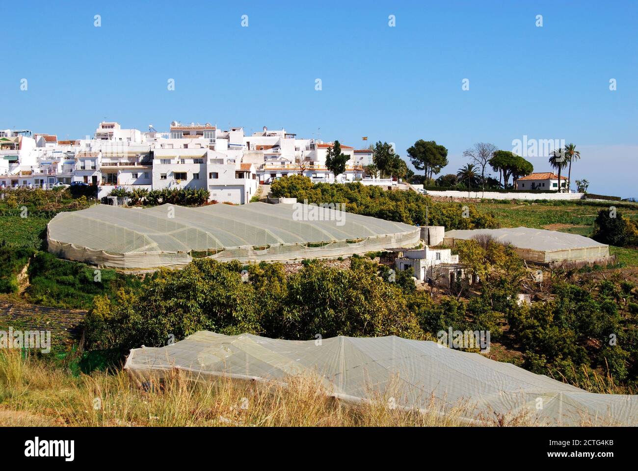 Blick auf das Dorf mit Pflanzen, die unter Poly-Tunneln im Vordergrund wachsen, Maro, Spanien. Stockfoto