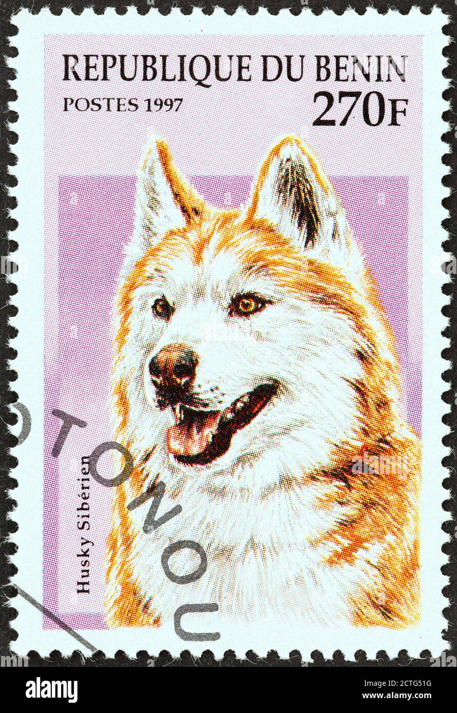 BENIN - UM 1997: Eine in Benin gedruckte Briefmarke aus der 'Dogs'-Ausgabe zeigt einen sibirischen Husky, um 1997. Stockfoto