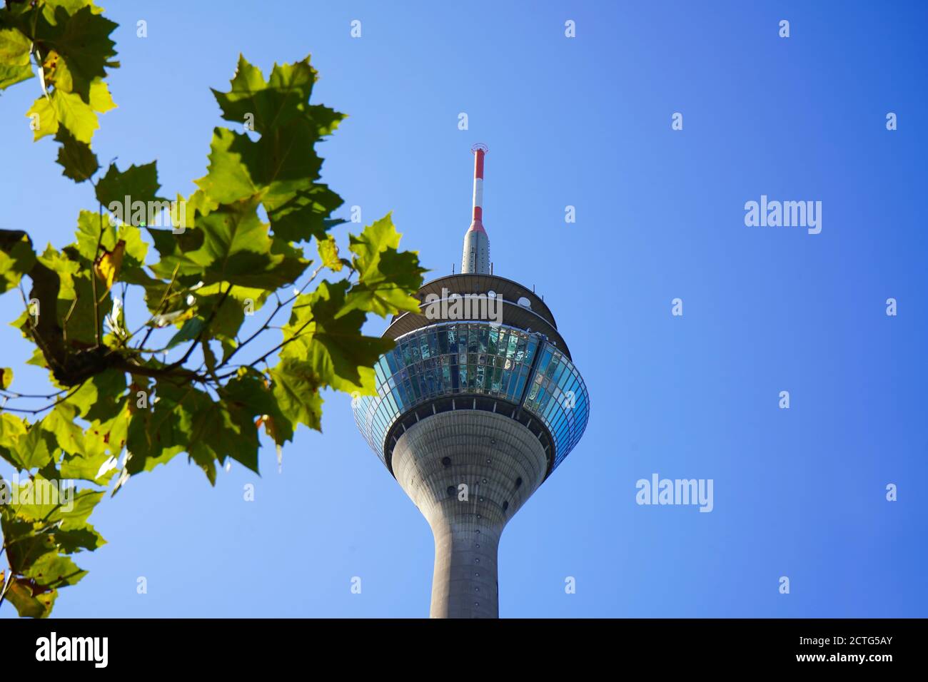 Rheinturm, Düsseldorfs Wahrzeichen, an einem sonnigen Tag im Spätsommer. Selektiver Fokus mit verschwommenen Blättern eines Baumes im Vordergrund. Stockfoto