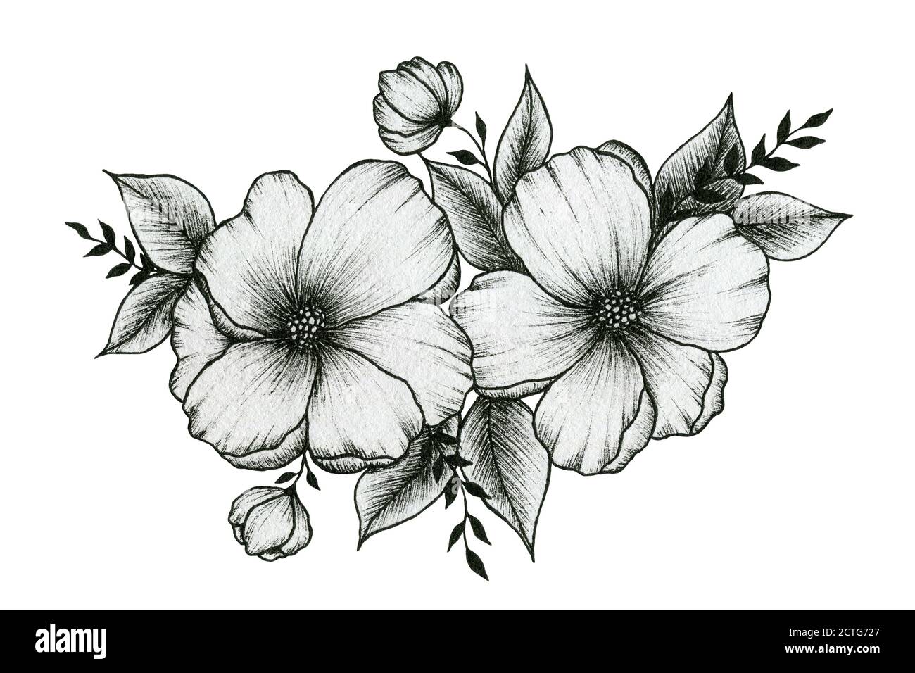 blumen gekritzel stockfotos und bilder kaufen alamy