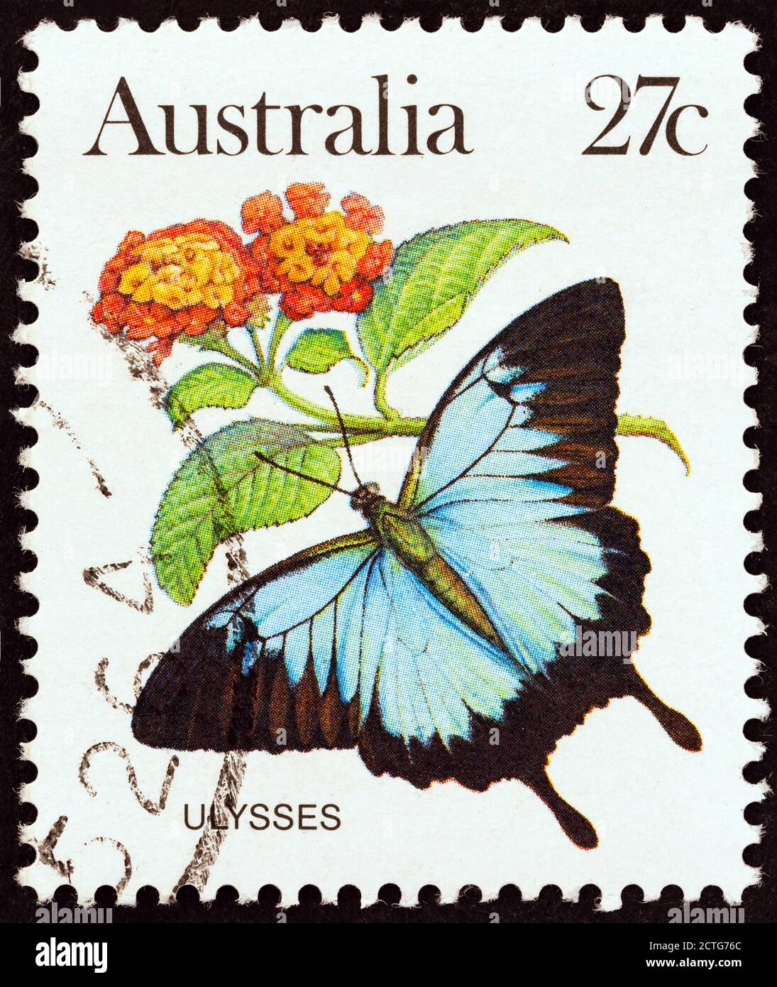 AUSTRALIEN - UM 1981: Eine in Australien gedruckte Briefmarke zeigt einen Papilio Ulysses Schmetterling, um 1981. Stockfoto