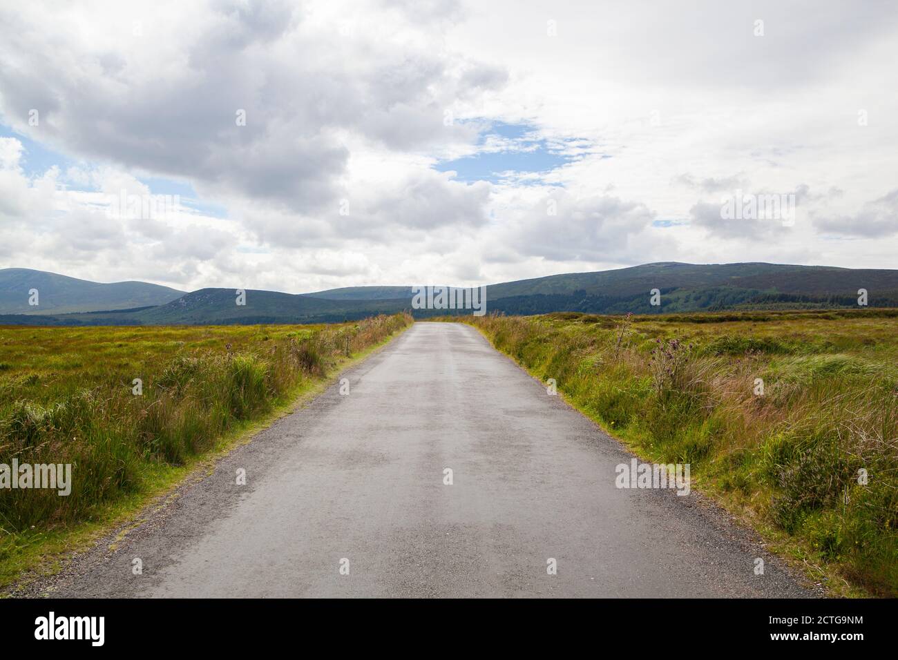 Alte Militärstraße, die durch den Wicklow Mountains National Park führt In Irland Stockfoto