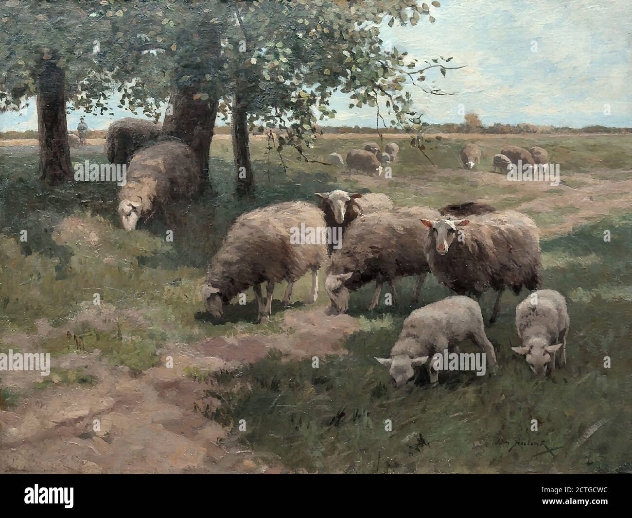 Schapen voor decoratie, leuk voor Pasen Schapen voor decoratie, leuk voor Pasen