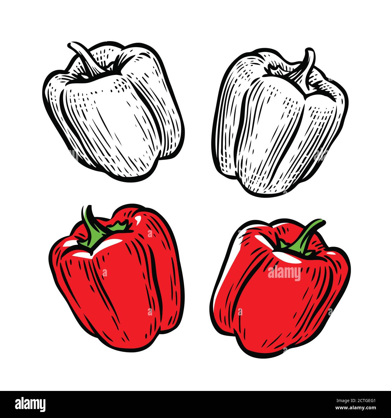 Rote Paprika. Kulinarische Würze, Lebensmittelvektor Stock Vektor