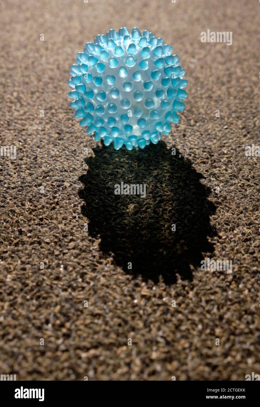 Leuchtend blaue transparente Massage-Ball in der Sonne auf kurzen braunen Teppich und sieht aus wie ein Virus. Gesehen in Deutschland im September. Stockfoto