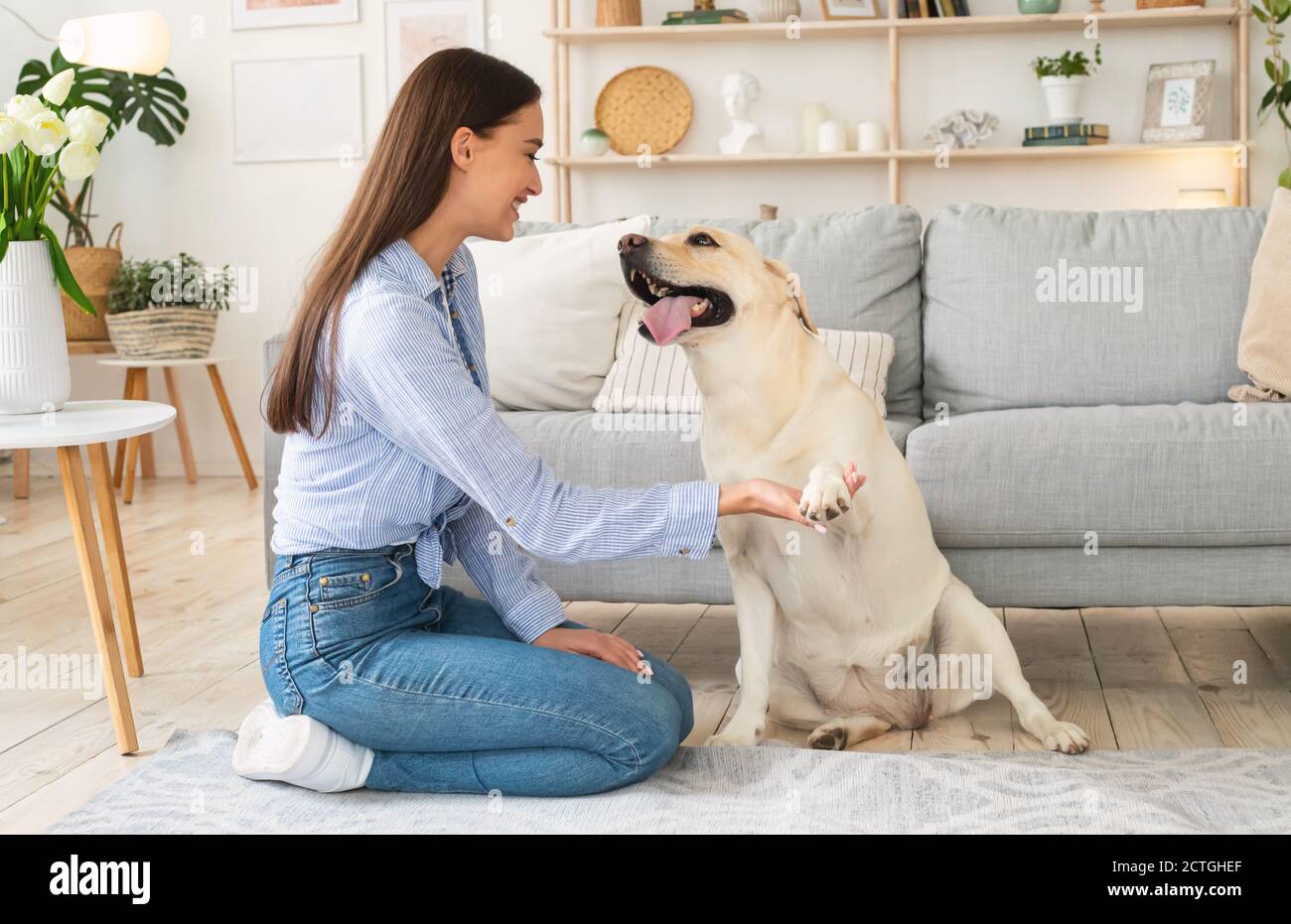 Schöne Frau spielt mit Hund im Wohnzimmer Stockfoto