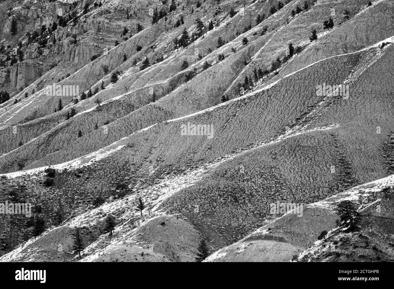Hanglage im Winter, Black and White Abstract, Mammoth Hot Springs, Yellowstone National Park, Wyoming, USA Stockfoto