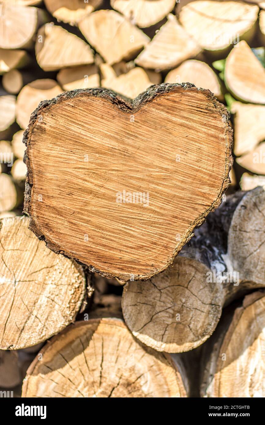 Herzförmiger Baumstamm dient zur Weiterverarbeitung in der Forstwirtschaft Betrieb Stockfoto