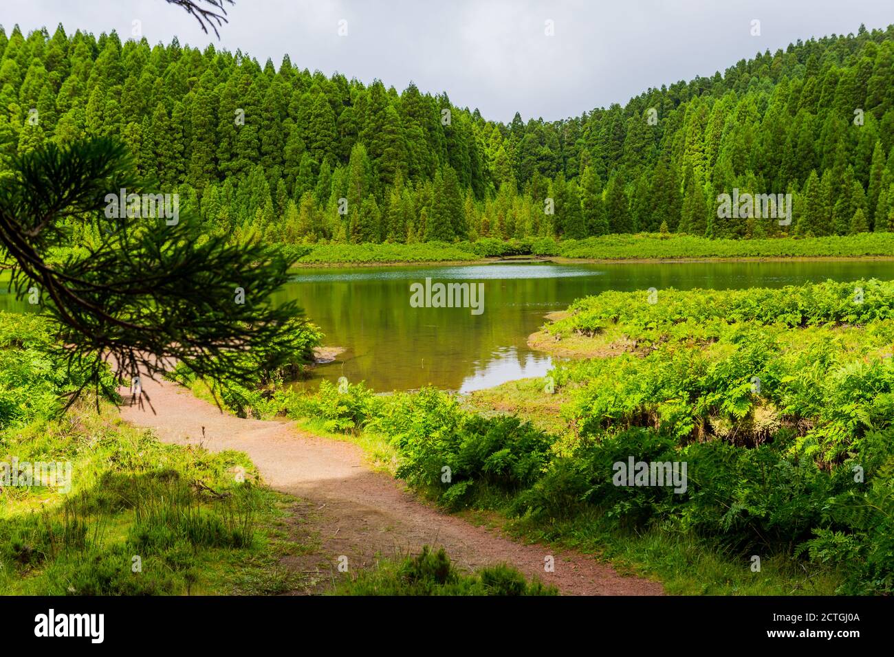 Lagoa do Canario. Blick auf die grüne Lagune des Kanarischen Sees in Sao Miguel Insel, Azoren, Portugal auf einem schönen sonnigen sagen Stockfoto