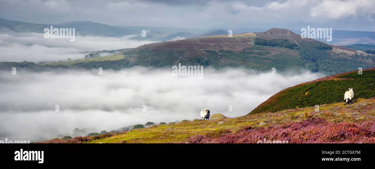 Bamford Kante Nebel, Inversion Stockfoto