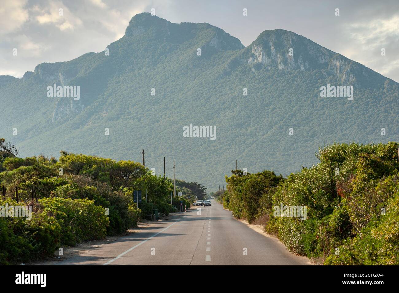 Italienische Panoramastraße in der Nähe von Sabaudia, in der Provinz Latina. Vorgebirge von Circeo im Hintergrund.. Stockfoto