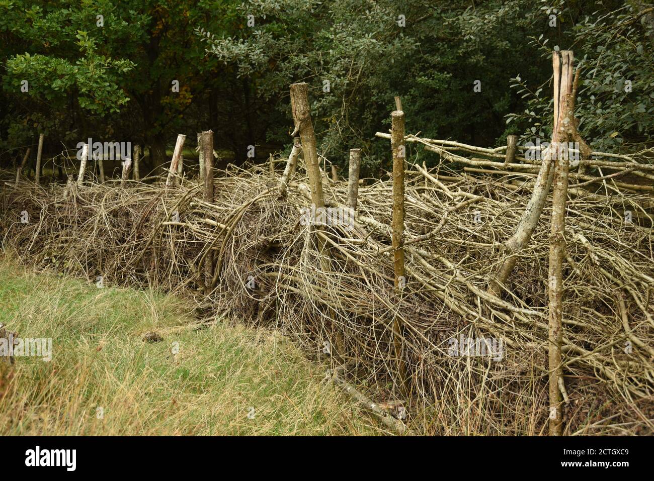 Geschichteter Zaun aus natürlichen Materialien Stockfoto