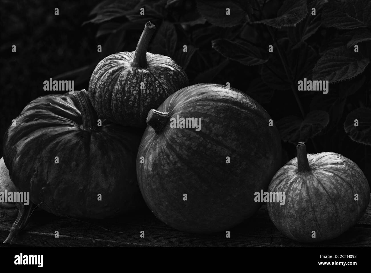 Truck Schwarzweiss Stockfotos Und Bilder Seite 5 Alamy