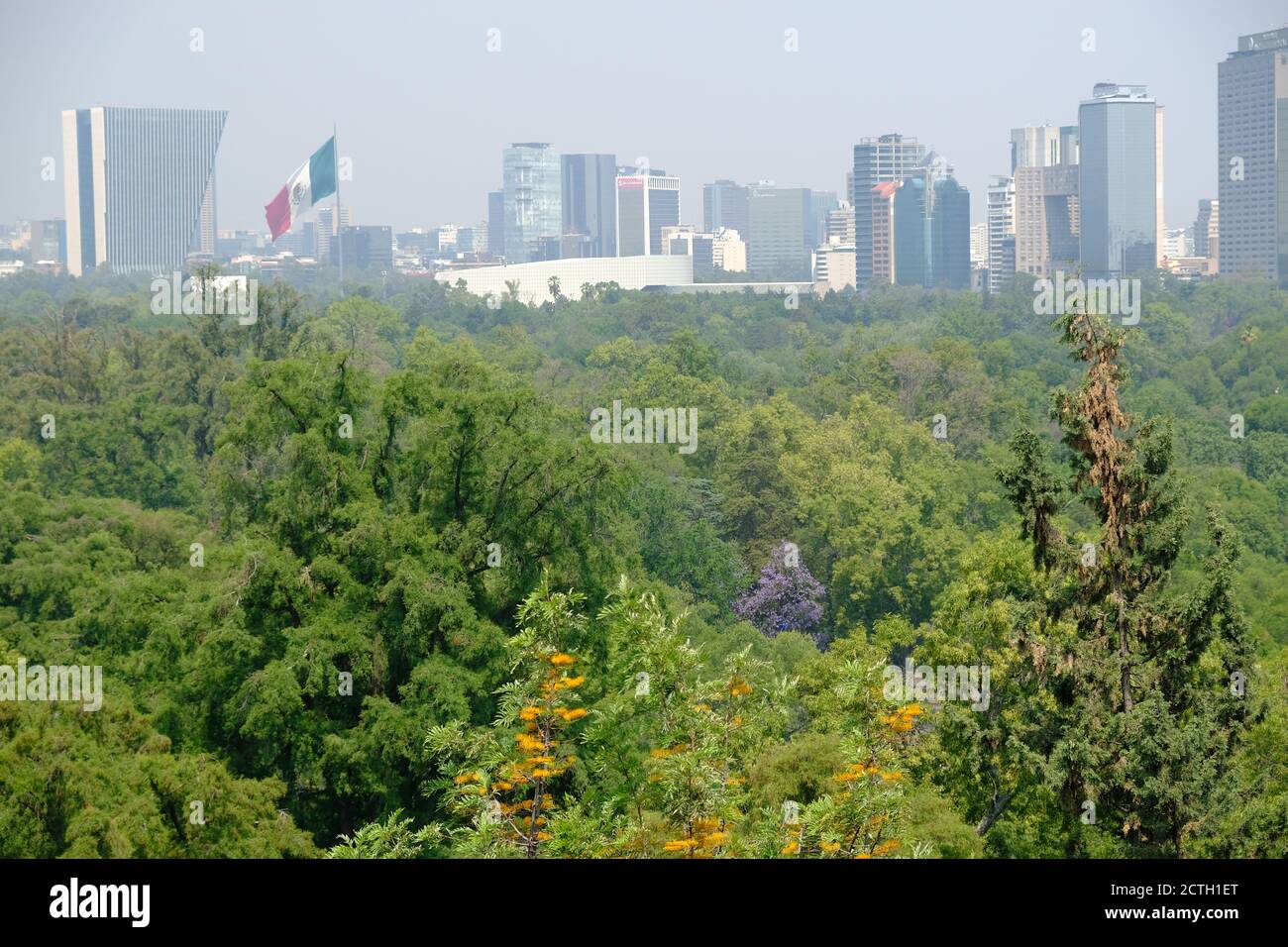 Mexiko-Stadt - Panoramablick auf den Park von der Burg Chapultepec Stockfoto