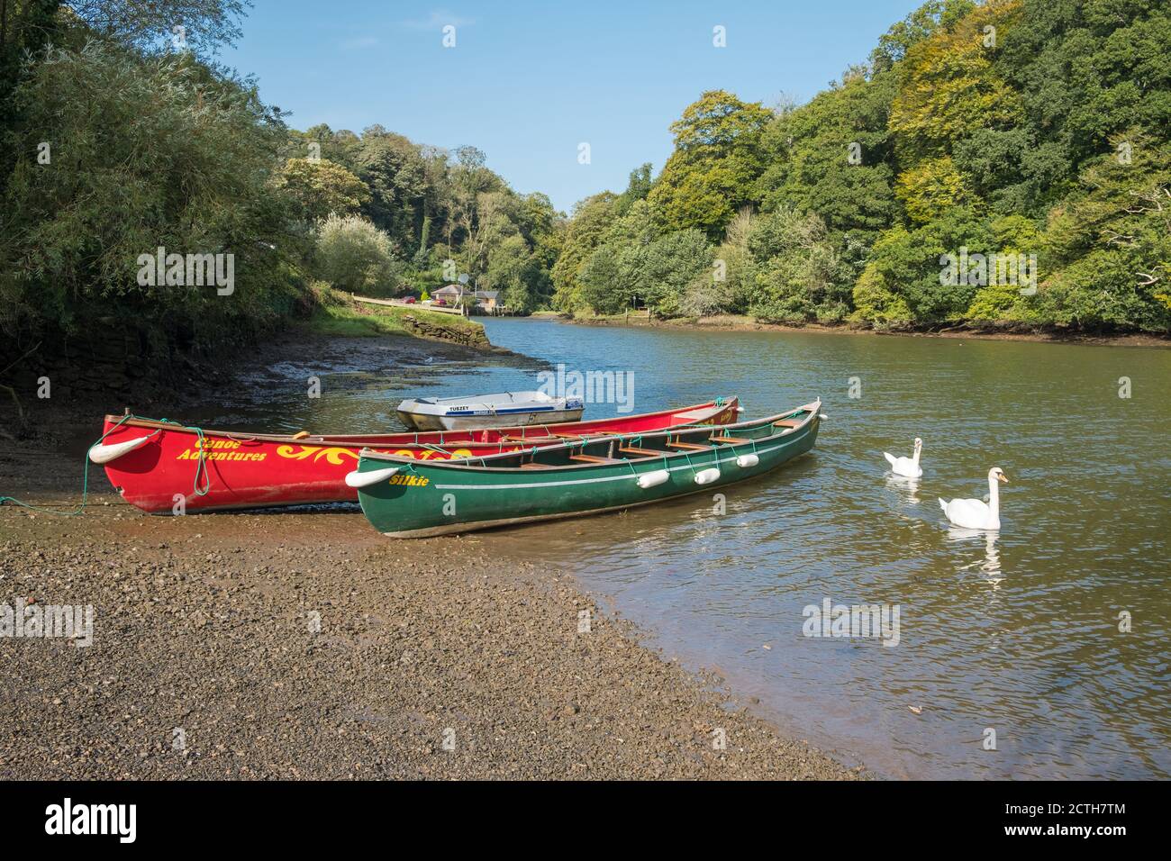 Vergnügungskanus am Flussufer in Bow Creek, Tuckenhay, South Hams, Devon, Großbritannien Stockfoto