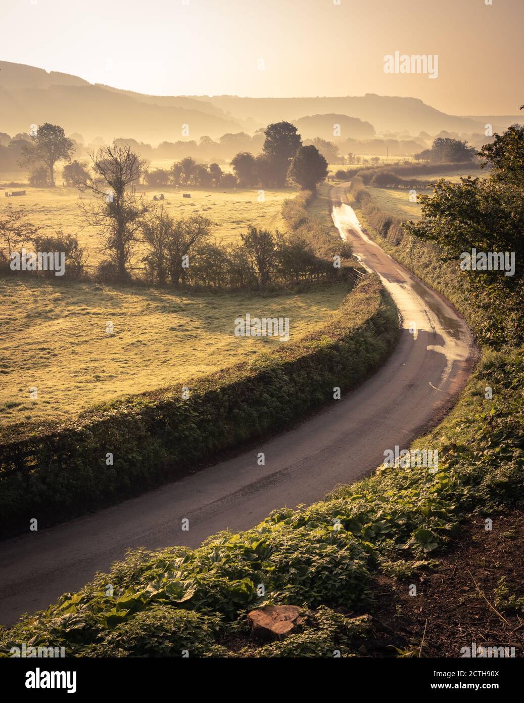 Country Lane mit einem nebligen Hintergrund, North Yorkshire Stockfoto