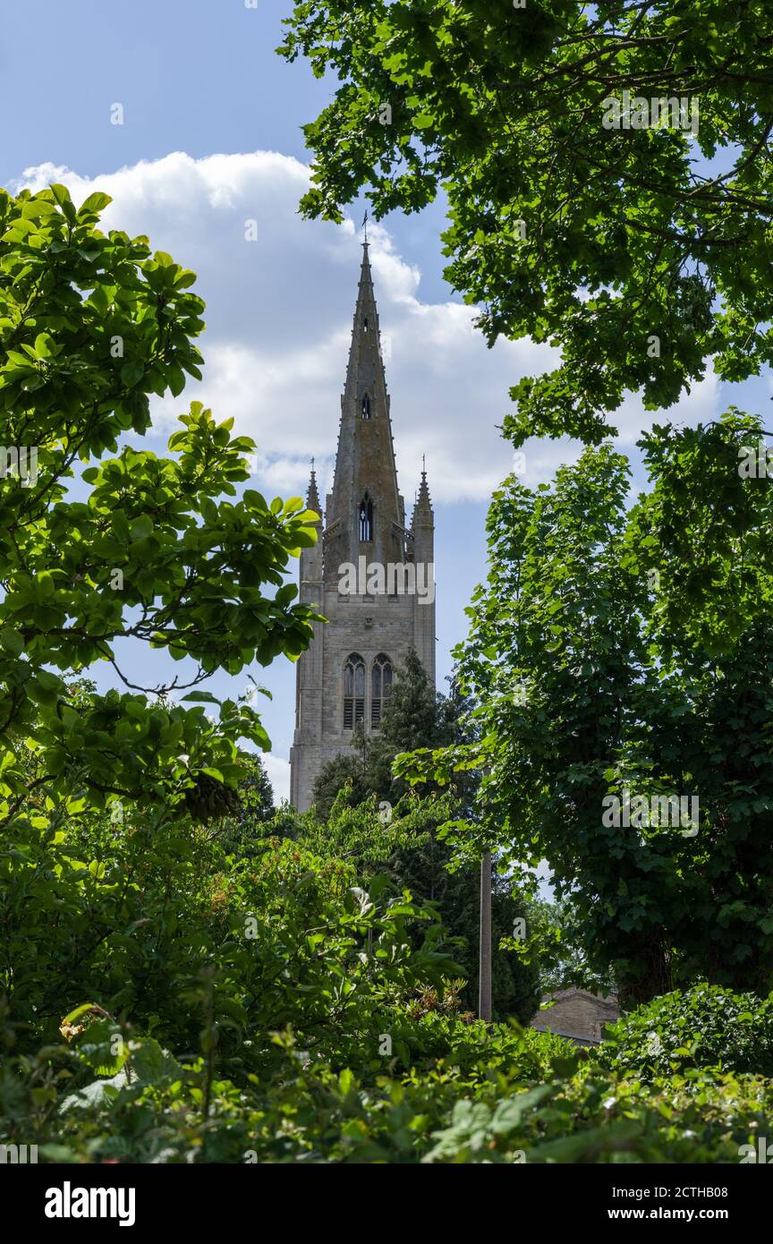 Kirchturm von St James the Great, eingerahmt von Bäumen, Hanslope, Buckinghamshire, Großbritannien; gilt als der höchste Turm in der Grafschaft Stockfoto
