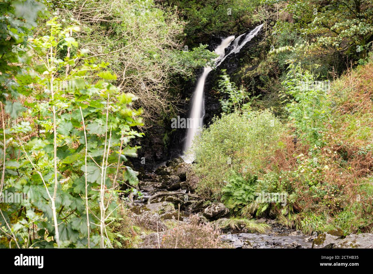 Gray Mare's Tail Wasserfall auf Gray Mare's Tail brennen hinein Der Galloway Forest Park Stockfoto